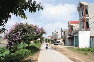 Các làng quê Việt Nam đã có sự đổi mới vượt bậc